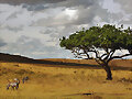 PAISAJE