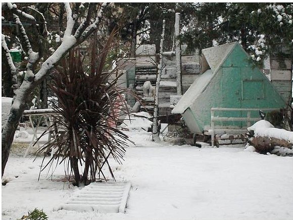 fotito de bahia blanca con nieve