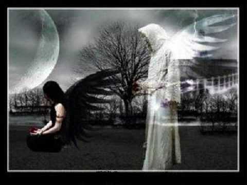 Tears of an angel...Las lagrimas de un angel...