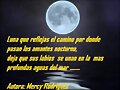 Solo mi Amor es para ti