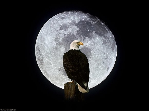 VUEELO NOCTURNO..