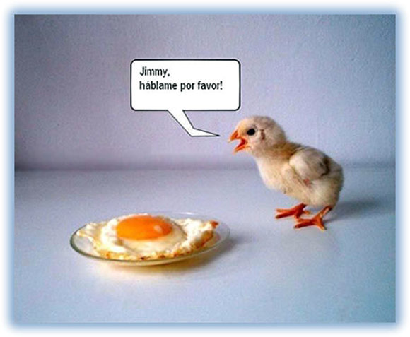 CHIKEN...