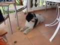 rita