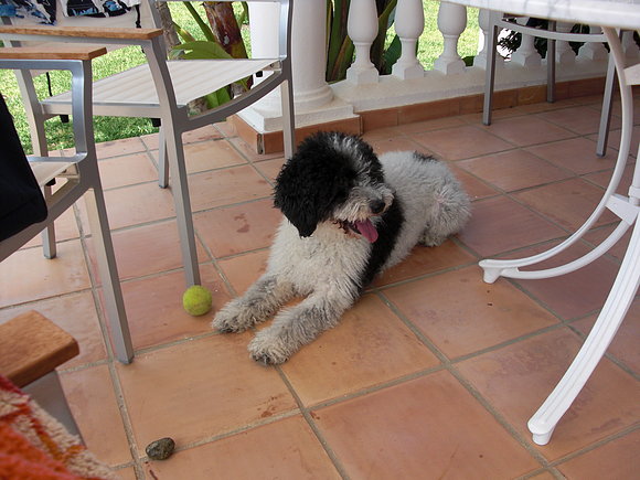 rita