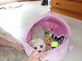 lola