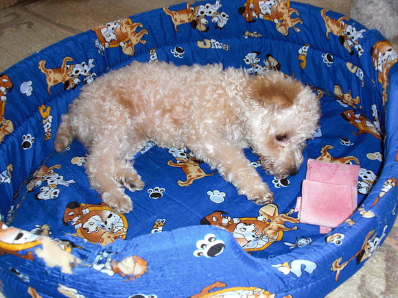 lola,