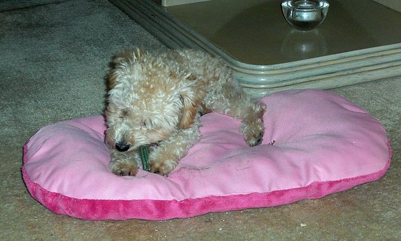 lola