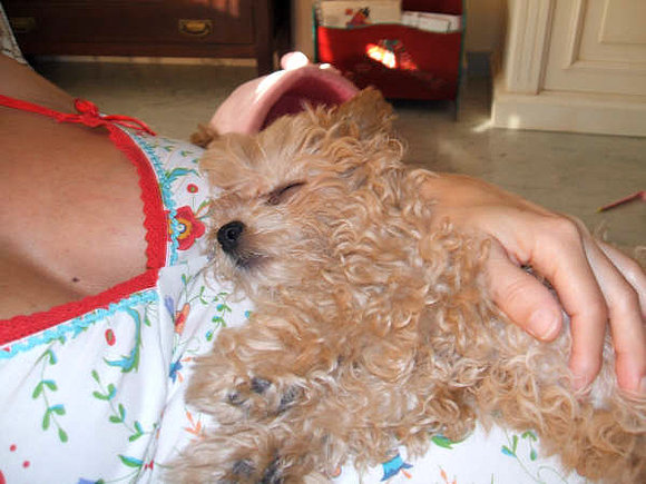 lola