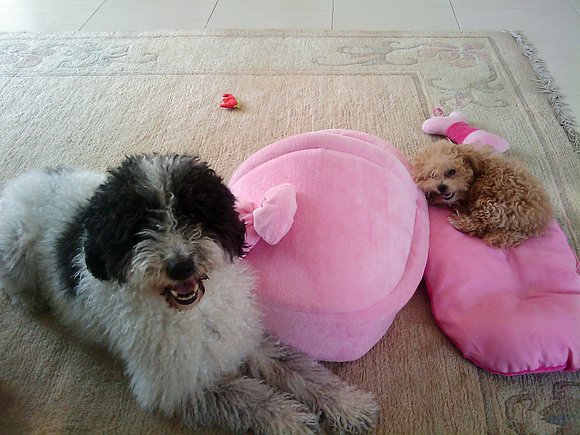 rita y lola