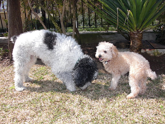 rita y lola