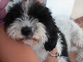 rita