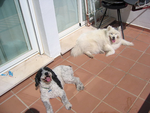 sera y rita