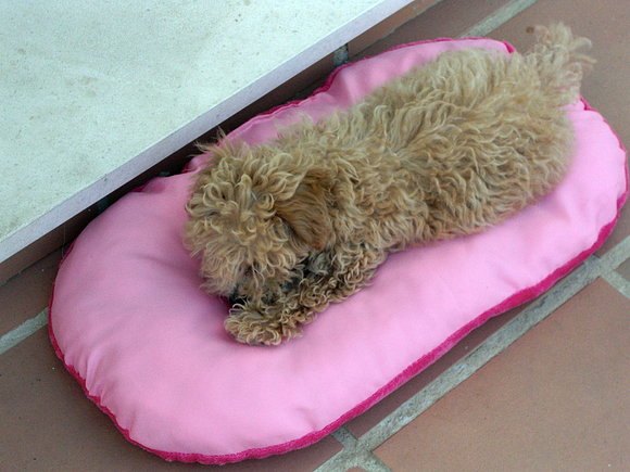 lola