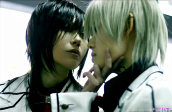 °|| Vampire knight ||°