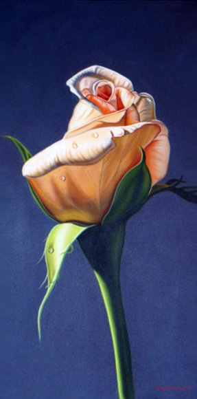 flor