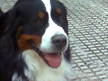 Porfin un poco de sooombra!!!!