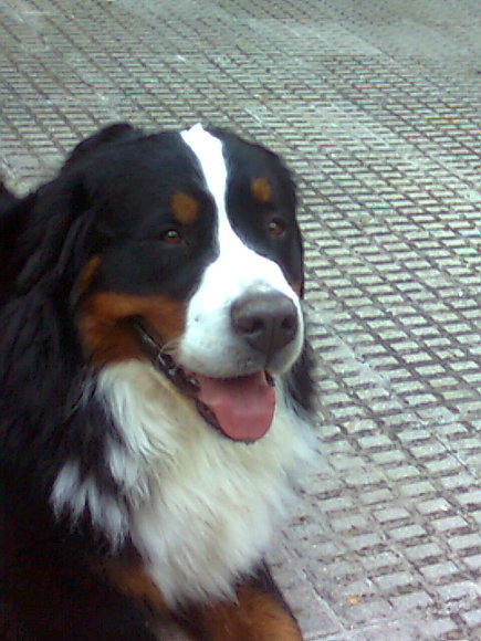 Porfin un poco de sooombra!!!!
