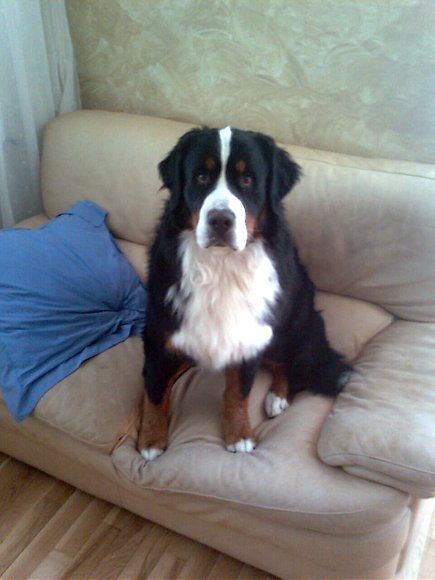 Mi SOFA...!!