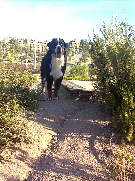 mmmm...guapo!