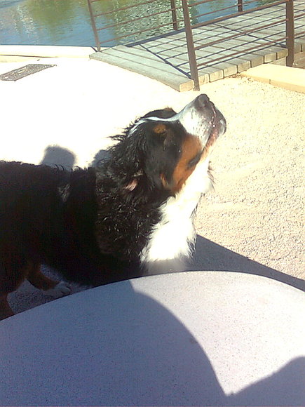 tomando el soool   =)