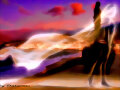 Bailando hasta el amanecer