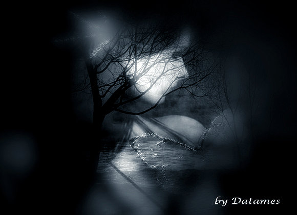 Bosque de las Hadas