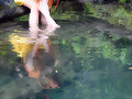 &#24803;&#27969;&#12539;&#12450;&#12473;&#12459;&amp;#
