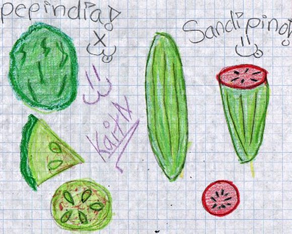 pepindia y sandipino