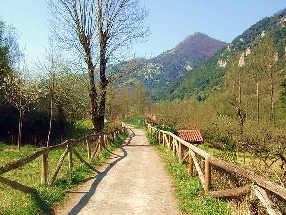 Senda del Oso