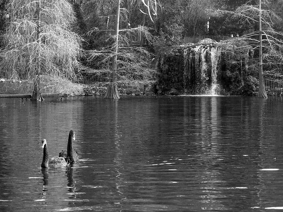 Parque del Retiro Madrid
