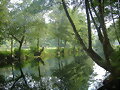 Rio Porcia