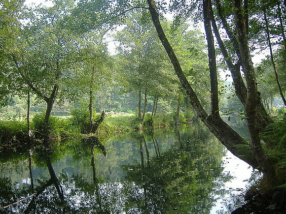 Rio Porcia