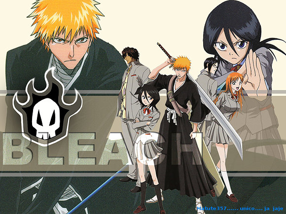 Bleach