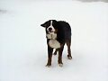 Mi primera experiencia con la nieve, que rica, mmm