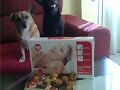 GRACIAS ELENA Y NATI