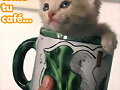 gatitto
