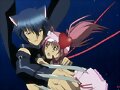 shugo chara