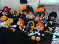 TNT Stands