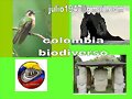 COLOMBIA BIODIVERSO