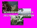 arboles, es vida