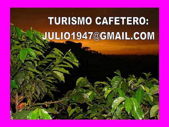 cafe, colombia la tierra