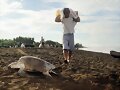 tortugas