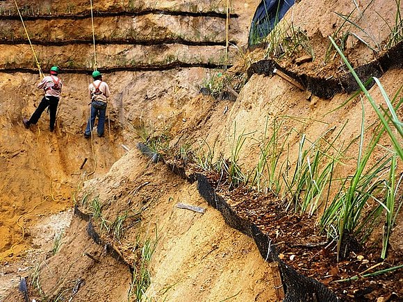 VETIVER CONTROLA EROSION