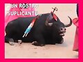 UN TORO PIDE CLEMENCIA
