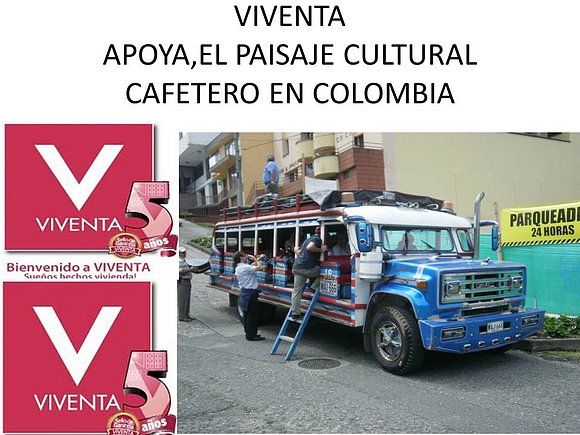 BUS TIPICO O CHIVA