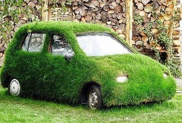 ECOLOGIA