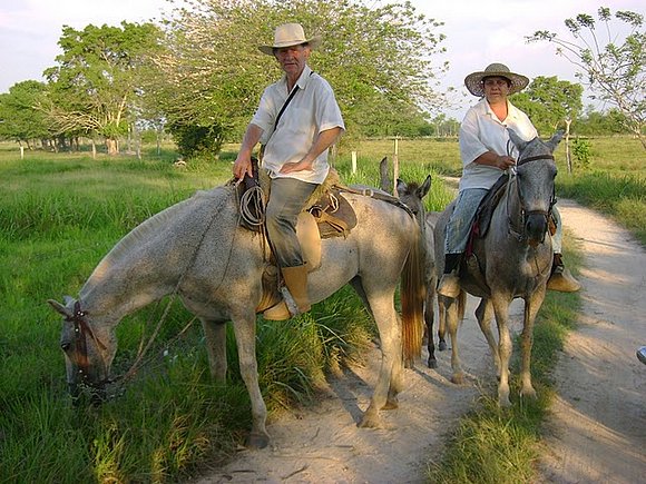 PAISAJE GANADERO