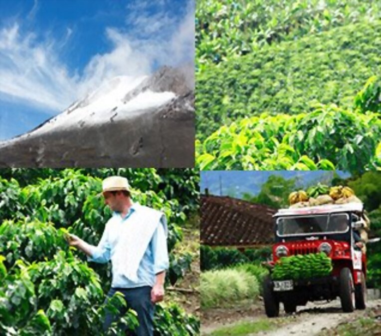 cafe, colombia la tierra