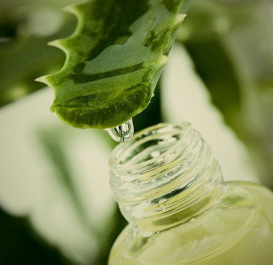 GEL DE SABILA, VENTAS