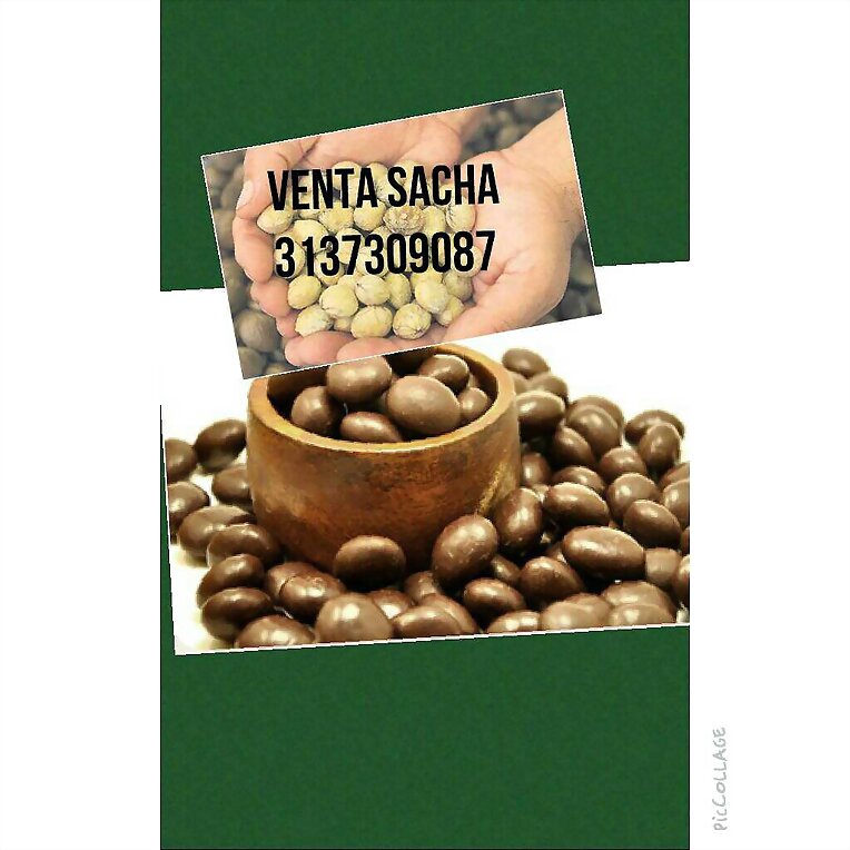 SALUD CON SACHA INCHI OMEGA 3